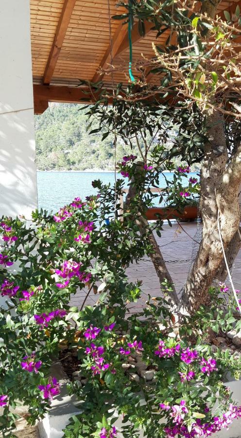 Apartments Sponga Polače Dış mekan fotoğraf